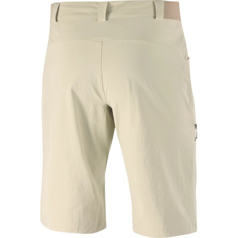 Bermudas Salomon Wayfarer Hombre Kaki | MX AGEI083